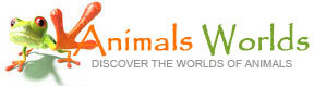 discover the worlds of animals