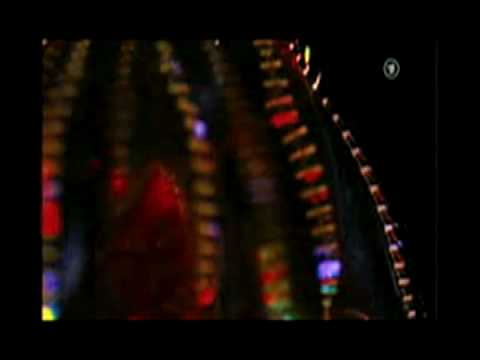 Deep Sea - luminescent animals